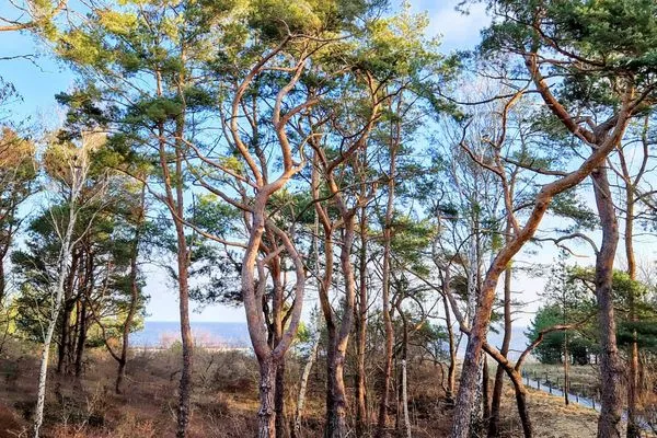 Blick auf Sehenswürdigkeit  Lieblingssuite am Strand