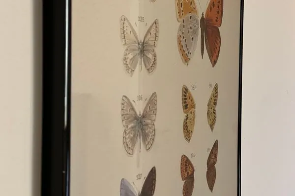 Dekoratives Detail  Raabennest - Bewusst genießen: Junges Wohnen im Alten Dorf