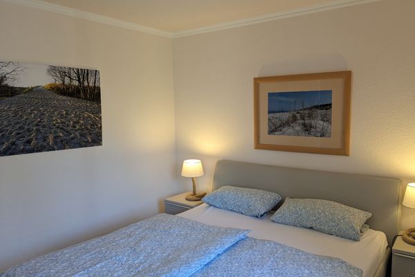  Windflüchter Born auf dem Darß - 