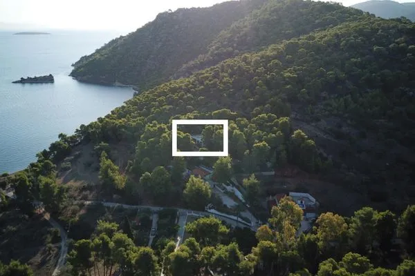 Marked area