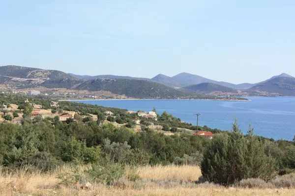 Salanti