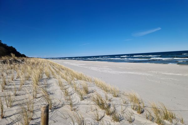 Achtern Diek Haus 7 Wohnung 4 Zingst - Strand