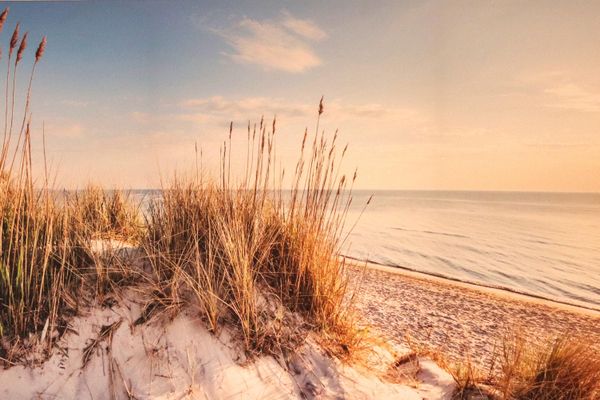  Ferienhaus DünenRose Carolinensiel - Dekoratives Detail