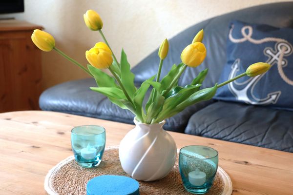  Ferienhaus DünenRose Carolinensiel - Wohnzimmer