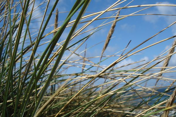  Villa Dünenblick Doppelzimmer Leuchtturm