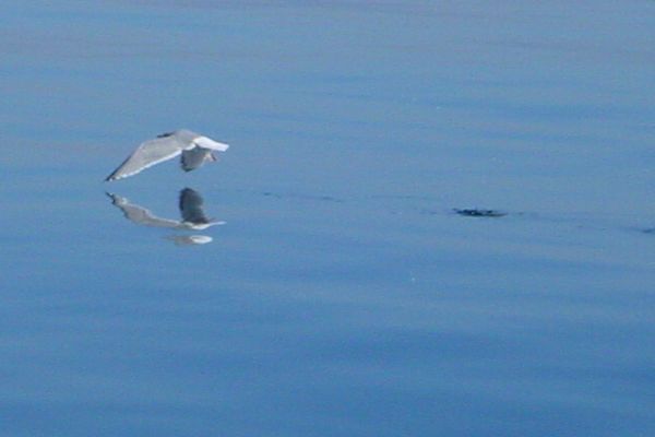  Villa Dünenblick Doppelzimmer Leuchtturm