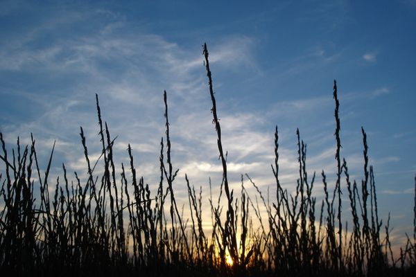  Villa Dünenblick Doppelzimmer Leuchtturm