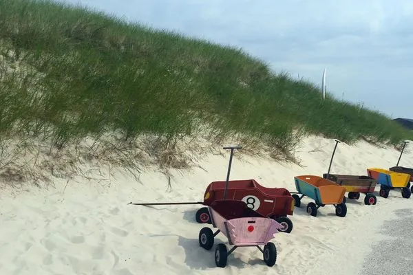 Düne in Norddorf auf Amrum Haus *Weiße Düne* Ferienwohnung *Weiße Düne 9 / Gen Norden*