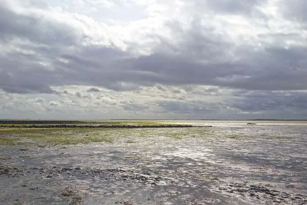 Blick auf die Nordsee Haus *Weiße Düne* Ferienwohnung *Weiße Düne 9 / Gen Norden*