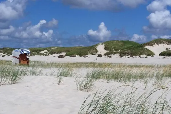 Strand und Dünen auf Amrum Haus *Weiße Düne* Ferienwohnung *Weiße Düne 9 / Gen Norden*