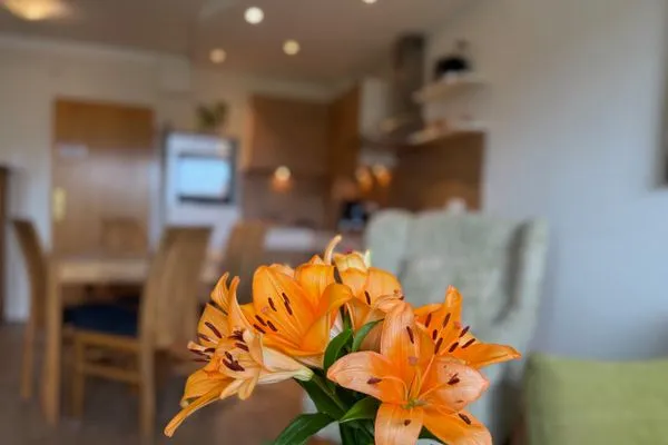 Wohnzimmer Ferienwohnung im Haus Nordland App 38