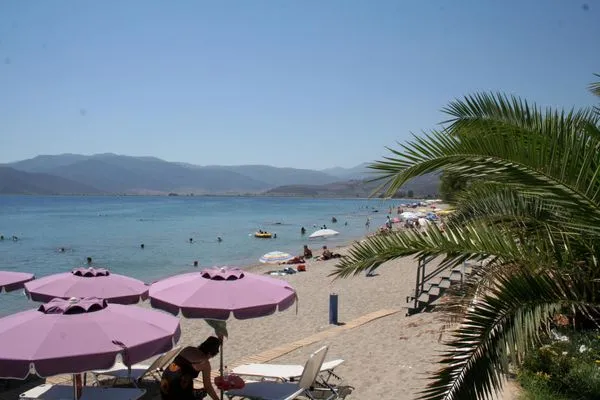 Paralion Astros beach