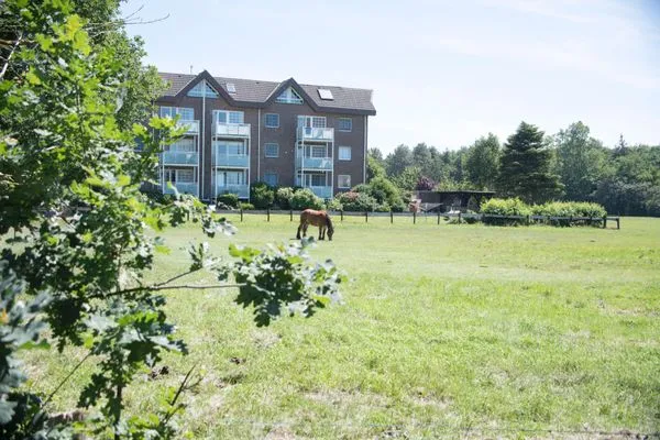 Haus Hohe Geest FeWo 6 Sahlenburg - Landschaft