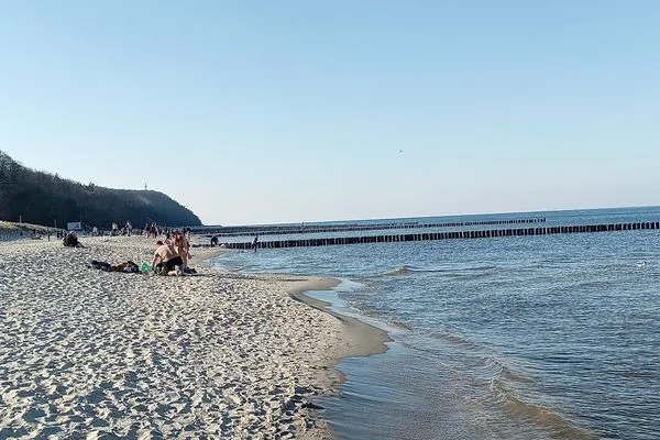Strand  Bernsteinquartier, Dünengras, Whg. 04.39