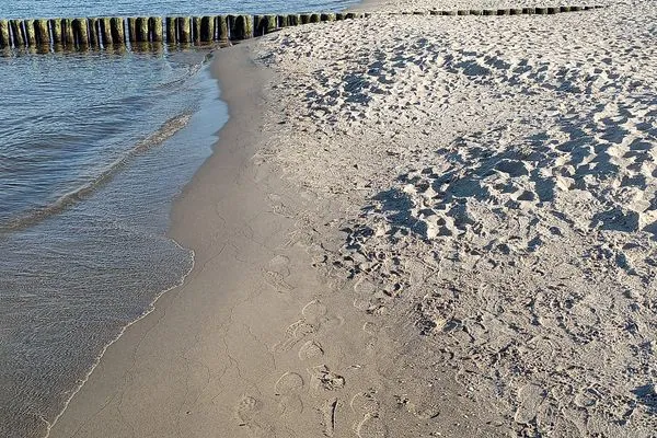 Strand  Bernsteinquartier, Dünengras, Whg. 04.39