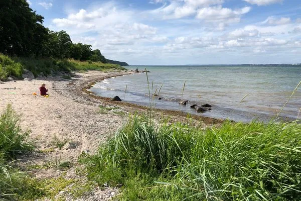 Naturstrand Mühlendamm (3km entfernt)  Ferienwohnung Hanna im Reethus Mühlenlund