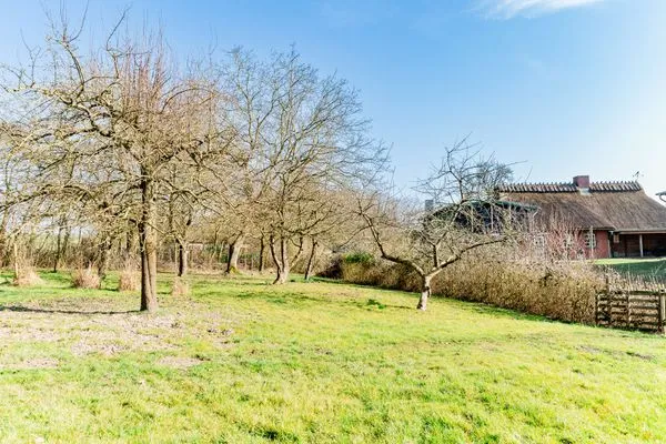 Weitläufiger Außenbereich mit Obstwiese und Feuerstelle  Ferienwohnung Hanna im Reethus Mühlenlund