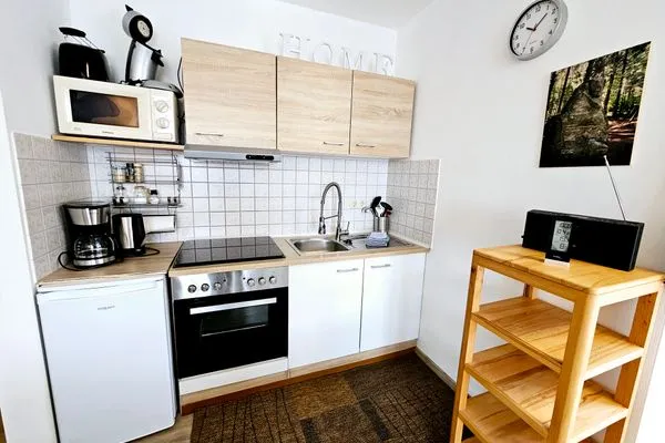 Küche / Küchenzeile Ferienland Sonnenwald Ferienwohnung "Sonnenschein" Apartment 44