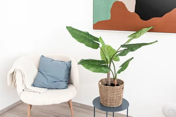 Wohnzimmer Haus Hummer Köbes Ferienwohnung Oscar