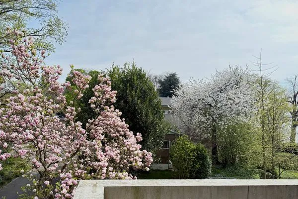 Ferienanlage Seeperle49 Ferienwohnung Seeperle49 Nonnenhorn - 