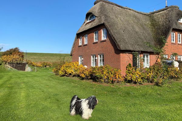 Ferienwohnung Reethus Achtern Diek auf Nordstrand – Bild 1 von 5