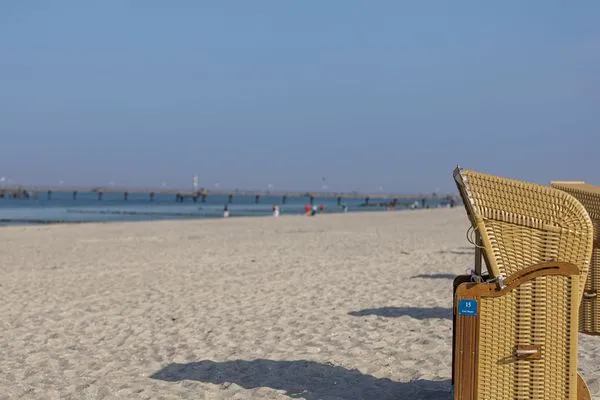 Strand  Sanddorn