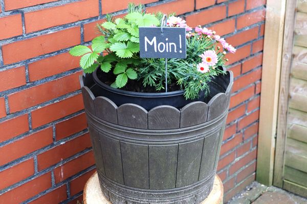  Ferienwohnung Seewiefke Esens - Dekoratives Detail