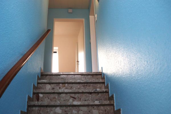  Ferienwohnung Seewiefke Esens - 