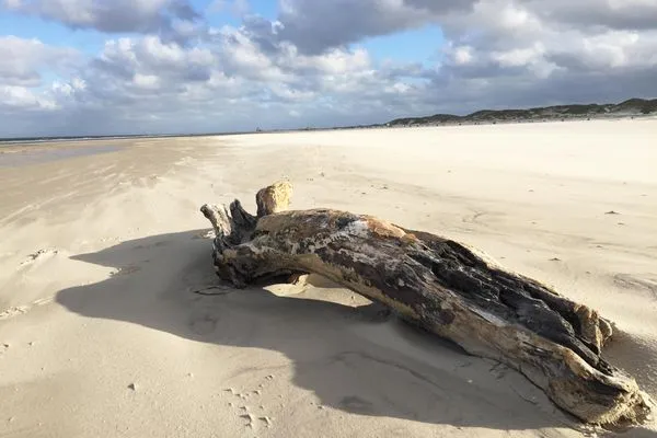 Strandgut auf Amrum Haus *Strandweg 8* Friesenhaushälfte *Backbord*