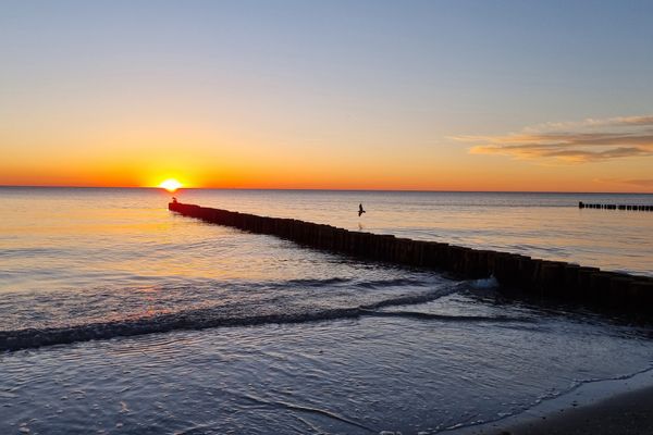  Altes Kapitänshaus 4 Ostseebad Ahrenshoop - Strand