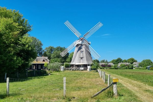  Altes Kapitänshaus 4 Ostseebad Ahrenshoop - Landschaft
