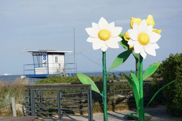 Strand  Strandoase, Whg. 21