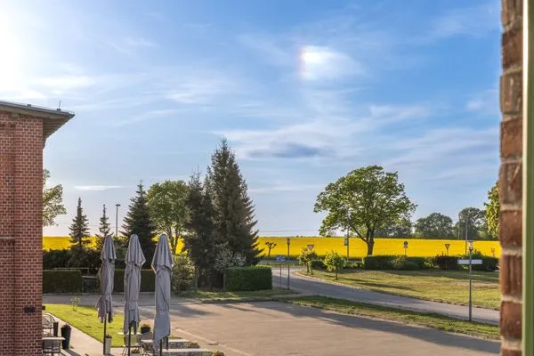 Ferienwohnung Wellenzauber Klink - Ausblick aus dem Fenster zum Blumenfeld  Wellenzauber