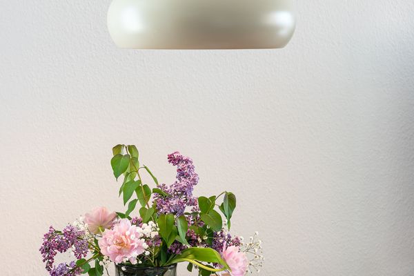 Haus Uthlande Uthlande Whg. 45 Ostwind Föhr  Die Grüne Insel - 