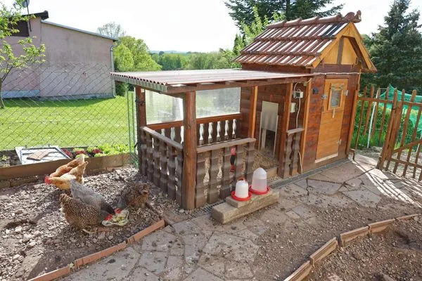 Frische Eier von glücklichen Hühnern? Gibt es direkt im Garten  Ferienwohnung Altensteinblick