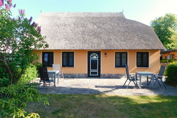  Sterntaucher App 1 Ostseebad Ahrenshoop - Terrasse