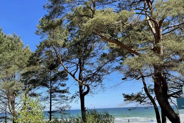 Landschaft Dünenpark Binz Ferienwohnung 215
