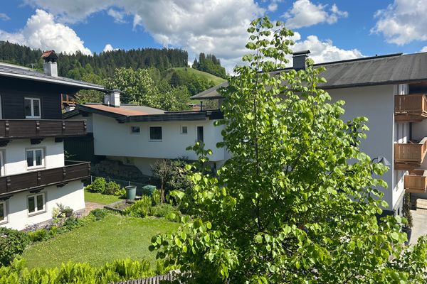  Appartement Bergzeit Hopfgarten - Garden view
