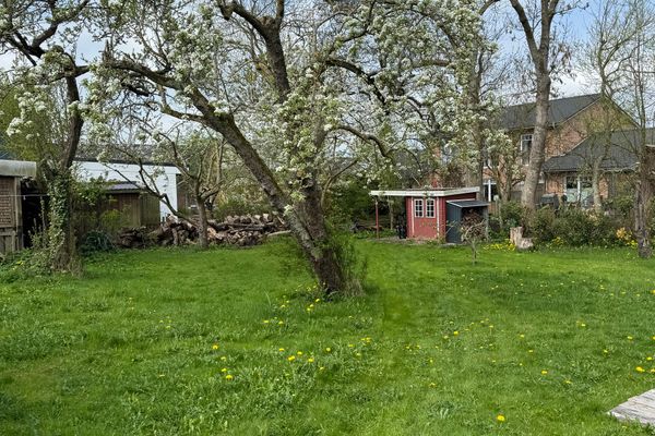  Marthas Garten Halbinsel Eiderstedter - Rasenfläche