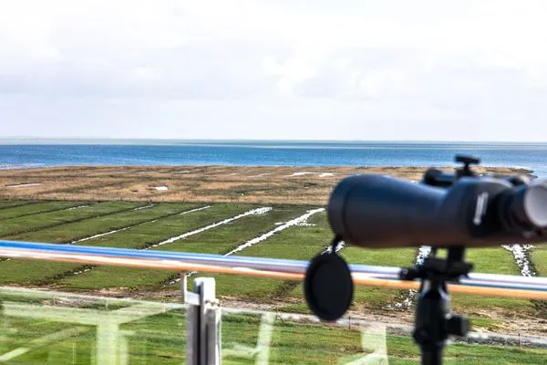 Meerblick  Sternschnuppe