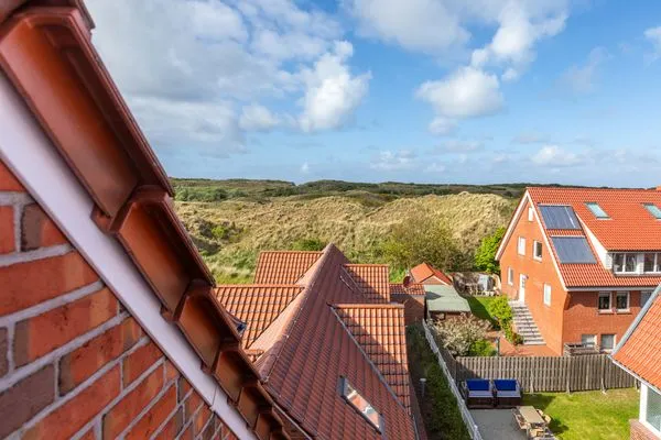 Gartenblick  Sternschnuppe