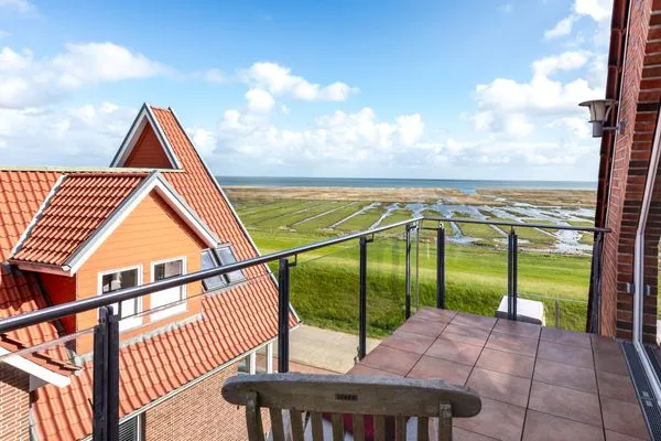 Balkon  Sternschnuppe