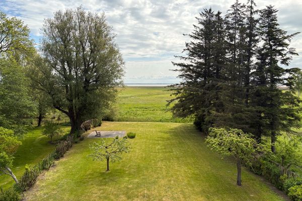  Boddenstille Ostseebad Ahrenshoop - Gartenblick