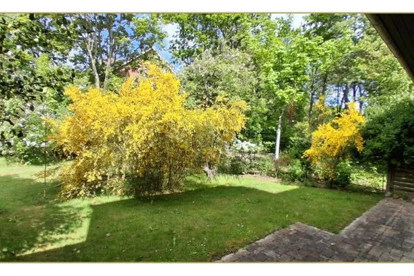   Haus Hesse "Erdgeschoss"