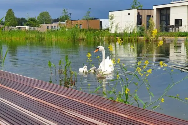  Marina Strandbad Chalet IJssel Lodge mit Zaun Haus Nr. 34