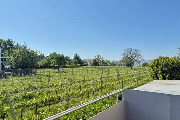 Ferienhaus Dani Ferienwohnung Rebgarten Nonnenhorn - Landschaft