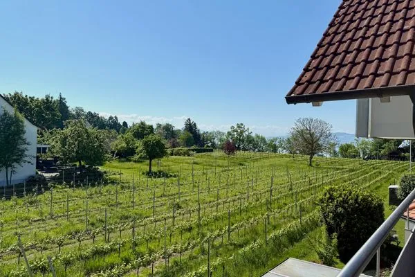 Ferienhaus Dani Ferienwohnung Pfänderblick Nonnenhorn - Landschaft