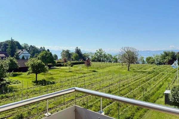 Ferienhaus Dani Ferienapartment Panoramablick Nonnenhorn - Landschaft