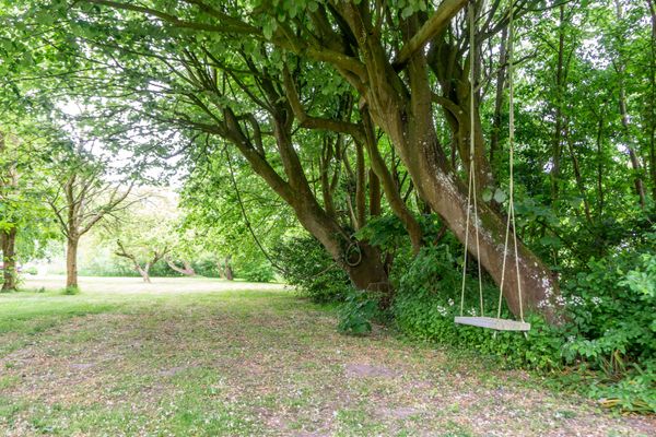  Seadrift Max Tating - Schaukel