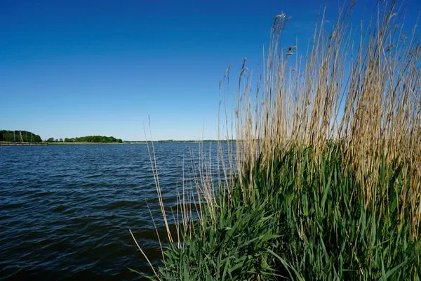 Landschaft  Moderne Ferienwohnung N°9 Stexwig mit Panorama Schleiblick